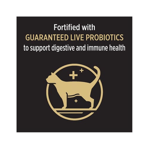 بورينا بروبلان اكل جاف للقطط للعناية بجمال بنكهة ا...