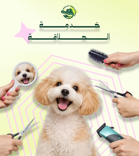 خدمة الحلاقة للقطط والكلاب