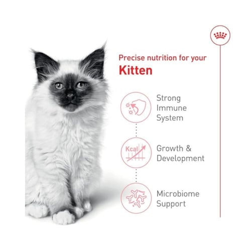 رويال كانين دراي فود قطط صغيرة (4 أشهر إلى سنة) -...
