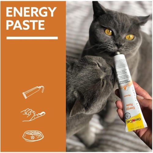 كيت كات معجون للقطط مكمل للطاقة - 50 غرام