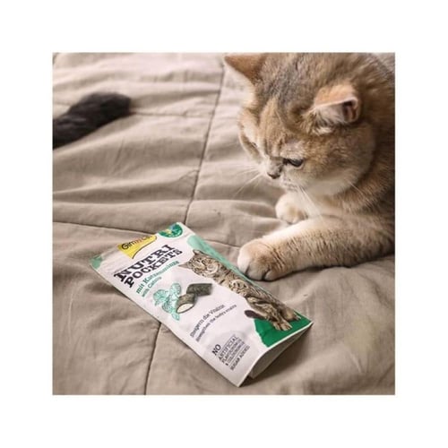 جيم كات مكافأت مقرمشة للقطط نوتري بوكتس بالنعناع ا...