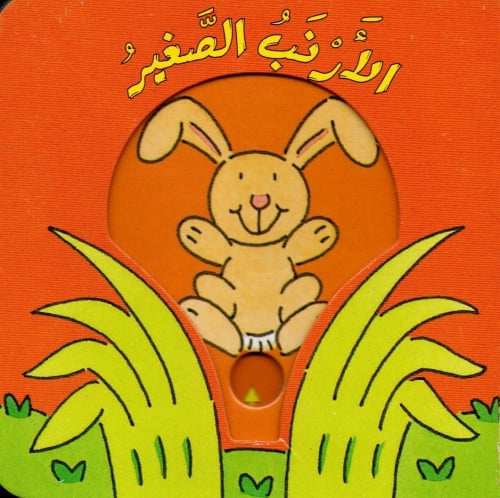 الأرنب الصغير