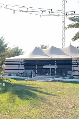 خيمة الصقور