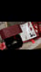 customer feedback image