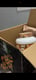 customer feedback image