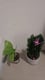 customer feedback image