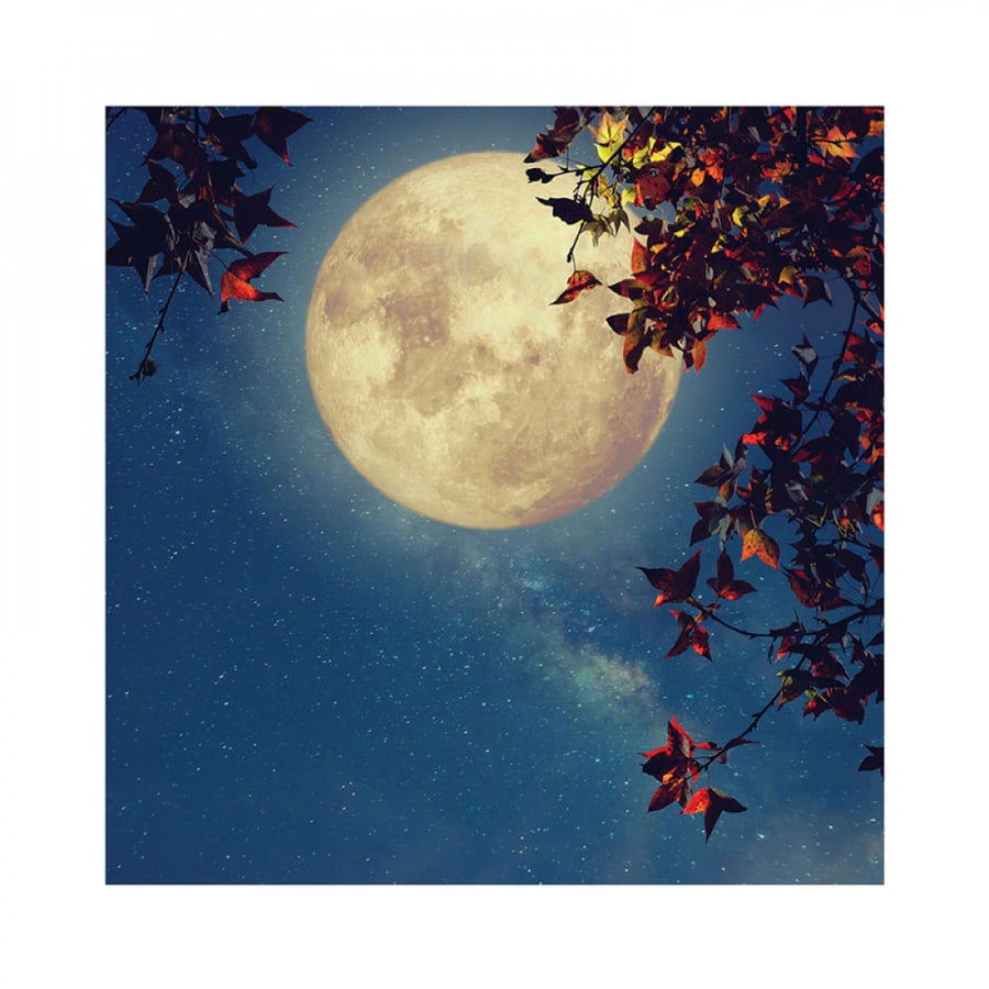 Wall art for home decor printed on lightweight rigid board without frame size 20 × 20 cm