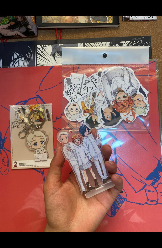 The promised neverland collection