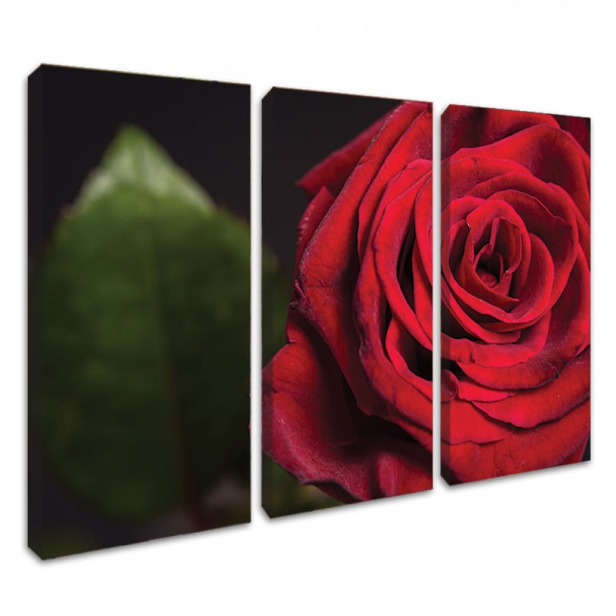 Wall art for home decor printed on canvas fabric with hidden frame size 120 × 80 cm