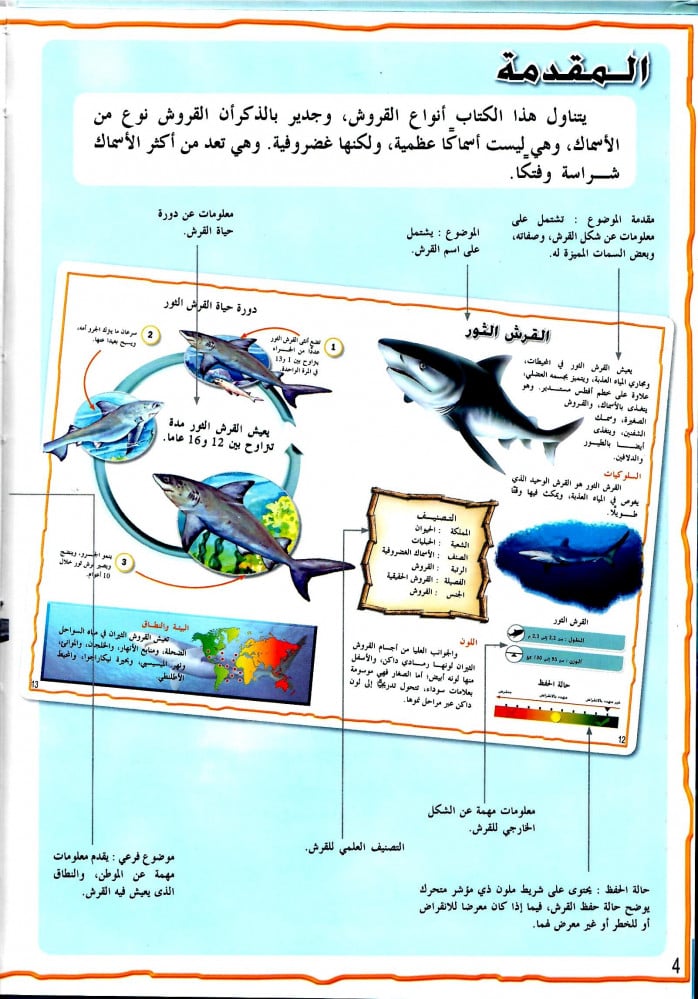 موسوعة الحيوانات - أسماك القرش