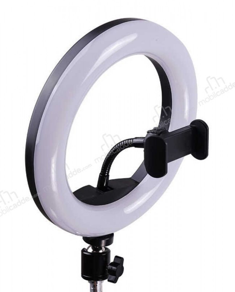 Circular lighting with three colors and brightness control M20
