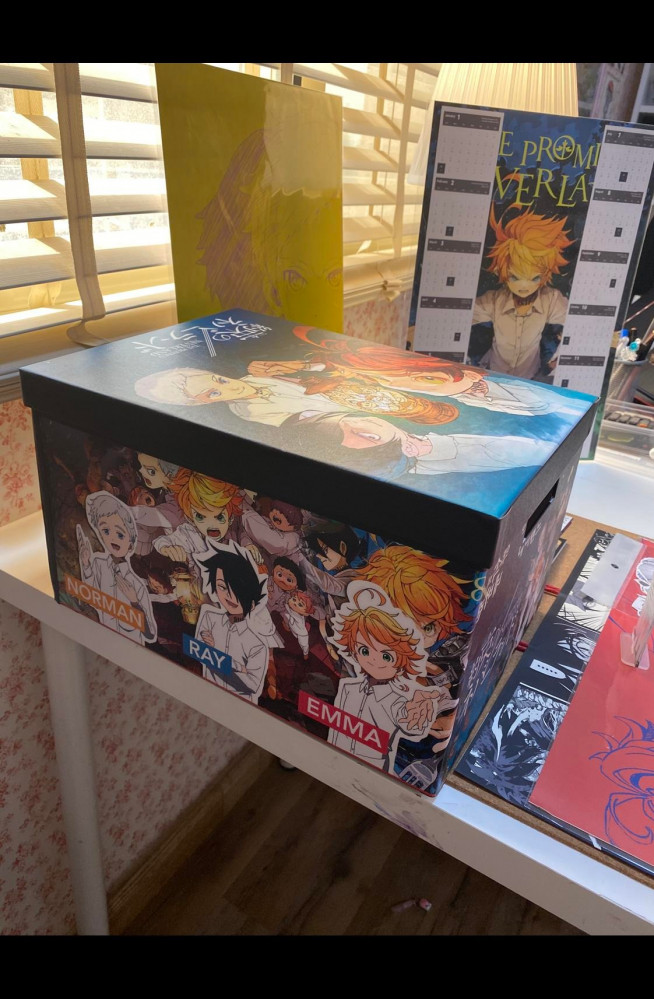 The promised neverland collection