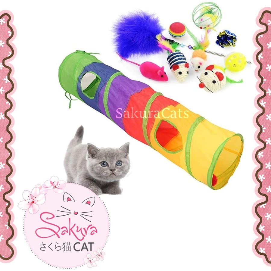 Tunnel + fishing rod + variety of toys set - economical price