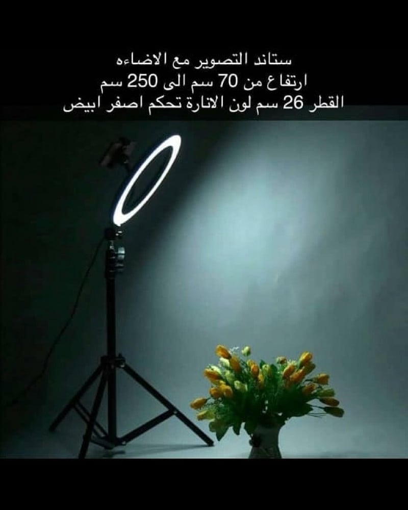 The famous ring light, mobile phone photography aid, 26 cm size