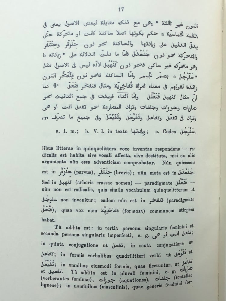 مختصر التصريف الملوكي - و المغتصب