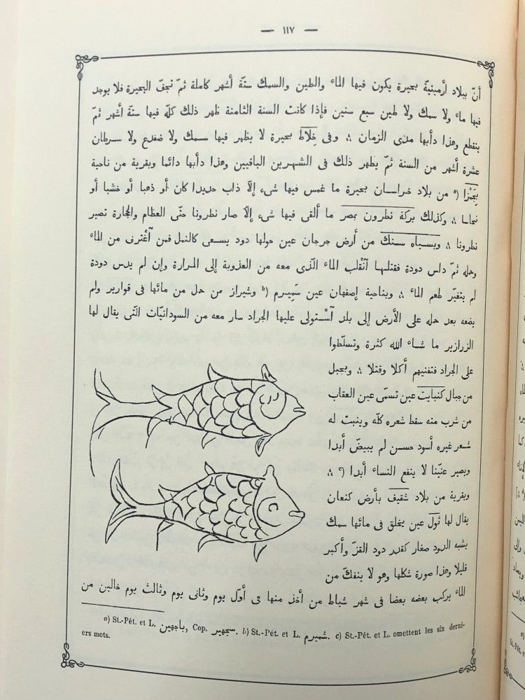 نخبة الدهر في عجائب البر والبحر