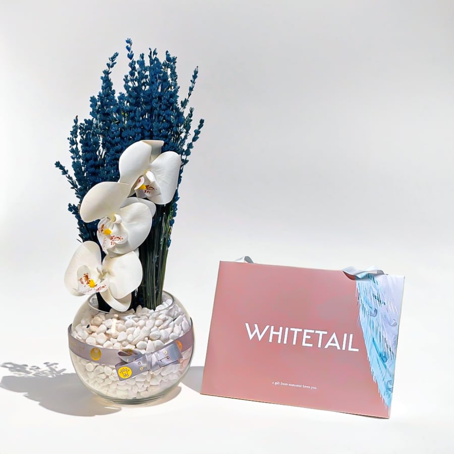 بطاقة شراء   Whitetail Nail Spa