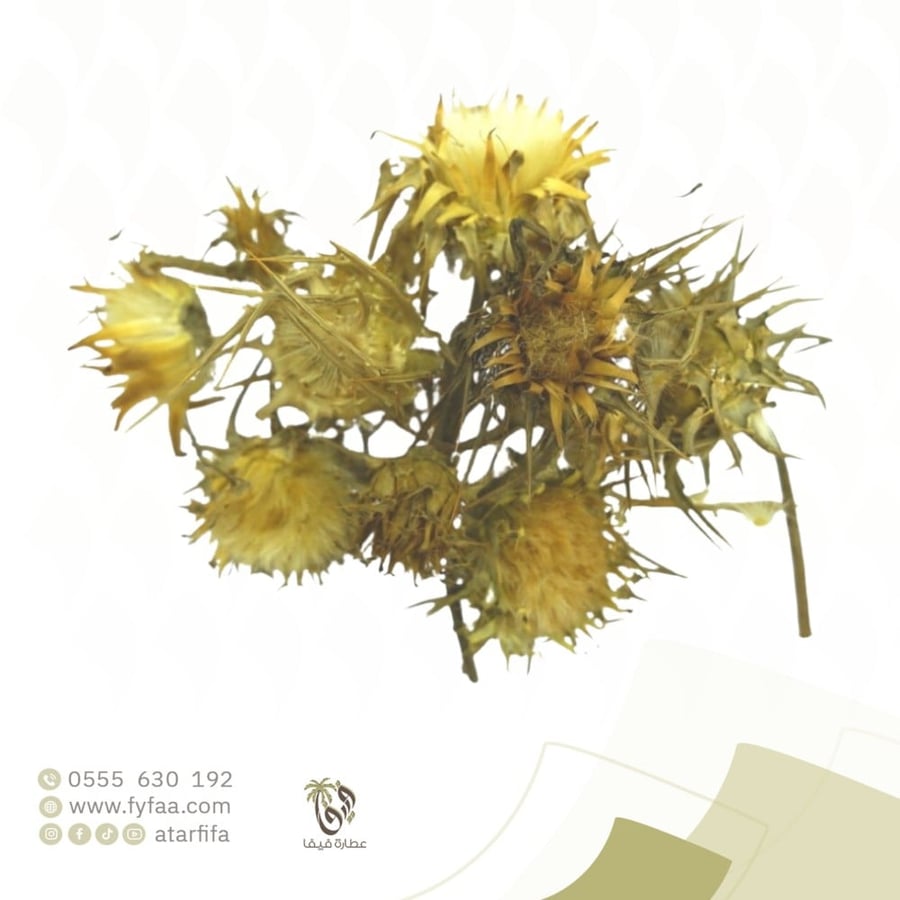 خرشوف - 50 جرام