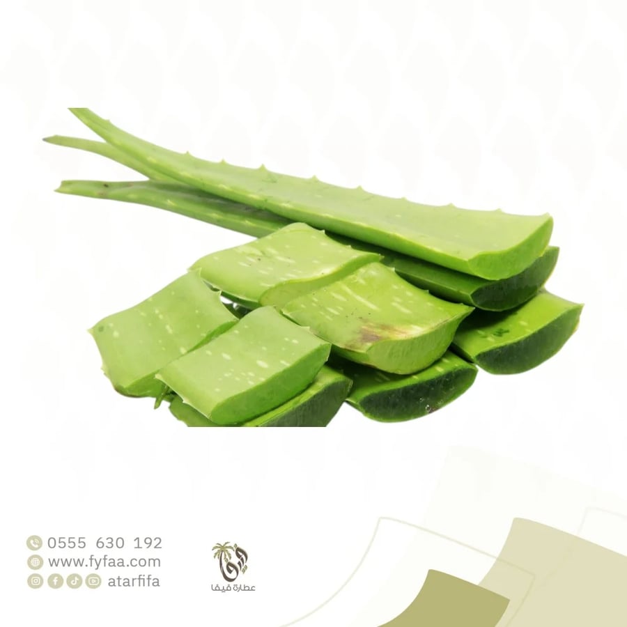 عشبة الصبار ( غير قابل للشحن خارج جدة)