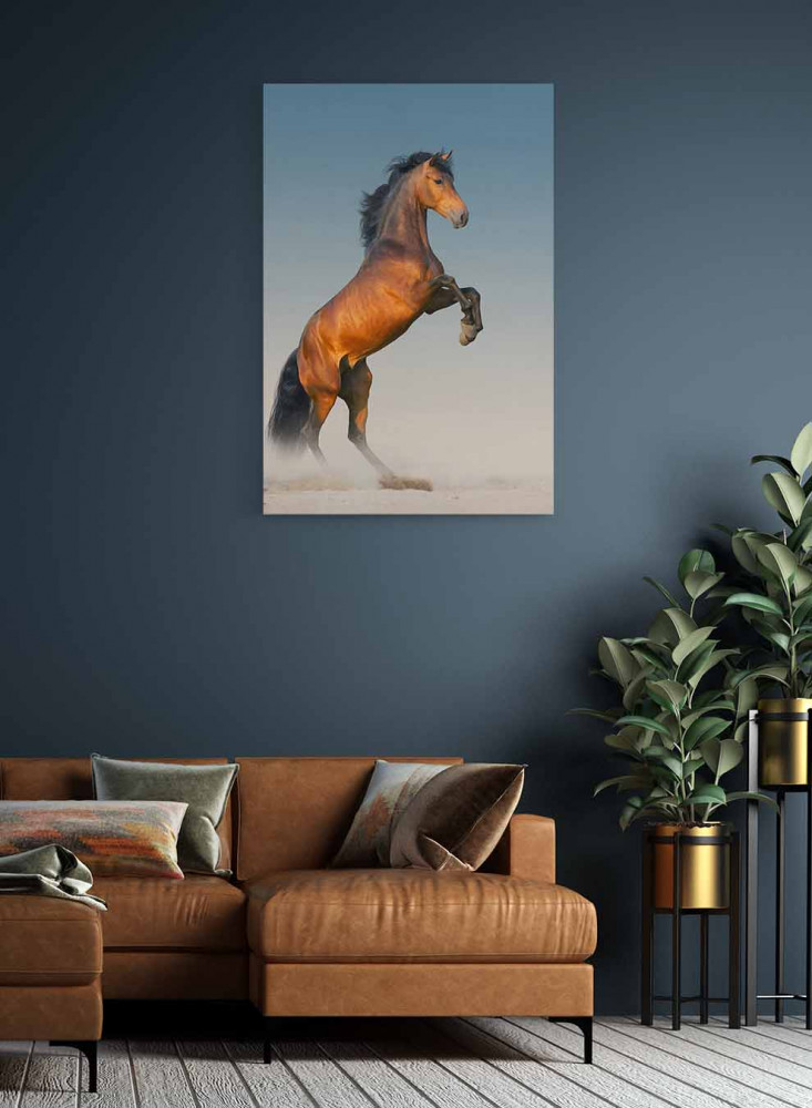 Canvas painting on a wooden frame, horse design with a long mane, for home, living room, office, decoration