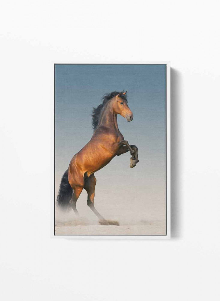 Canvas painting on a wooden frame, horse design with a long mane, for home, living room, office, decoration