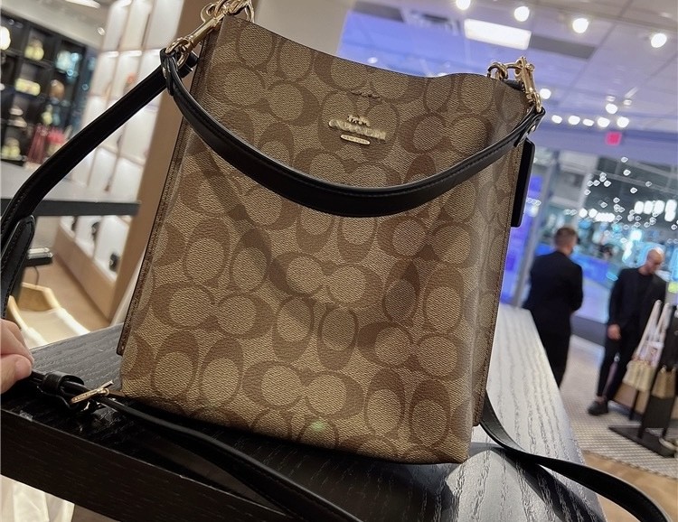 Coach Mollie Bag in Dark Khaki