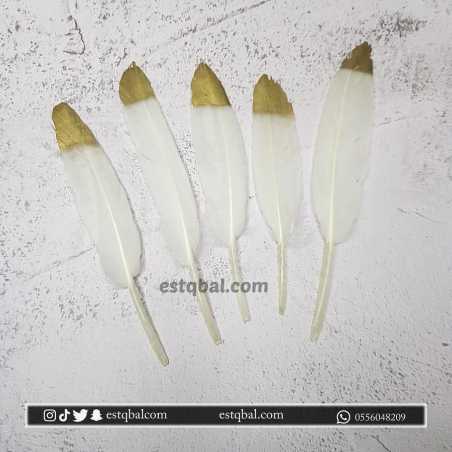 6 حبات ريش أبيض مع ذهبي ES242