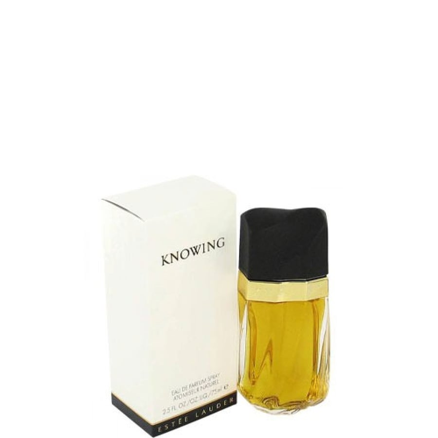 Estee Lauder Noing Perfume - 75 ml