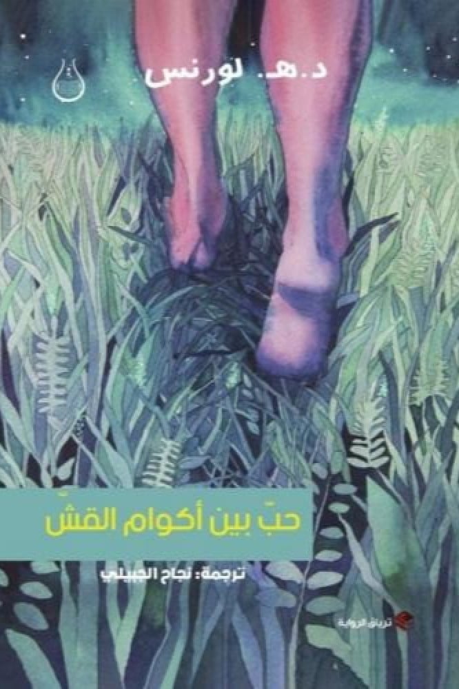حب بين أكوام القش