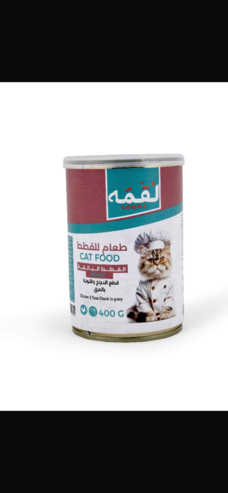لقمه قطع الدجاج والتونه بالمرق