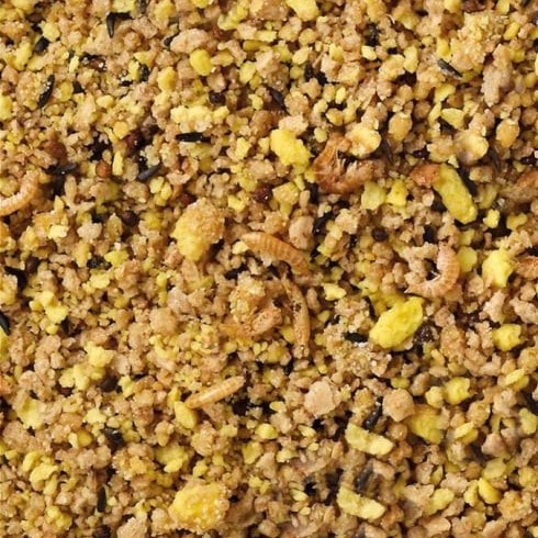 Dried food