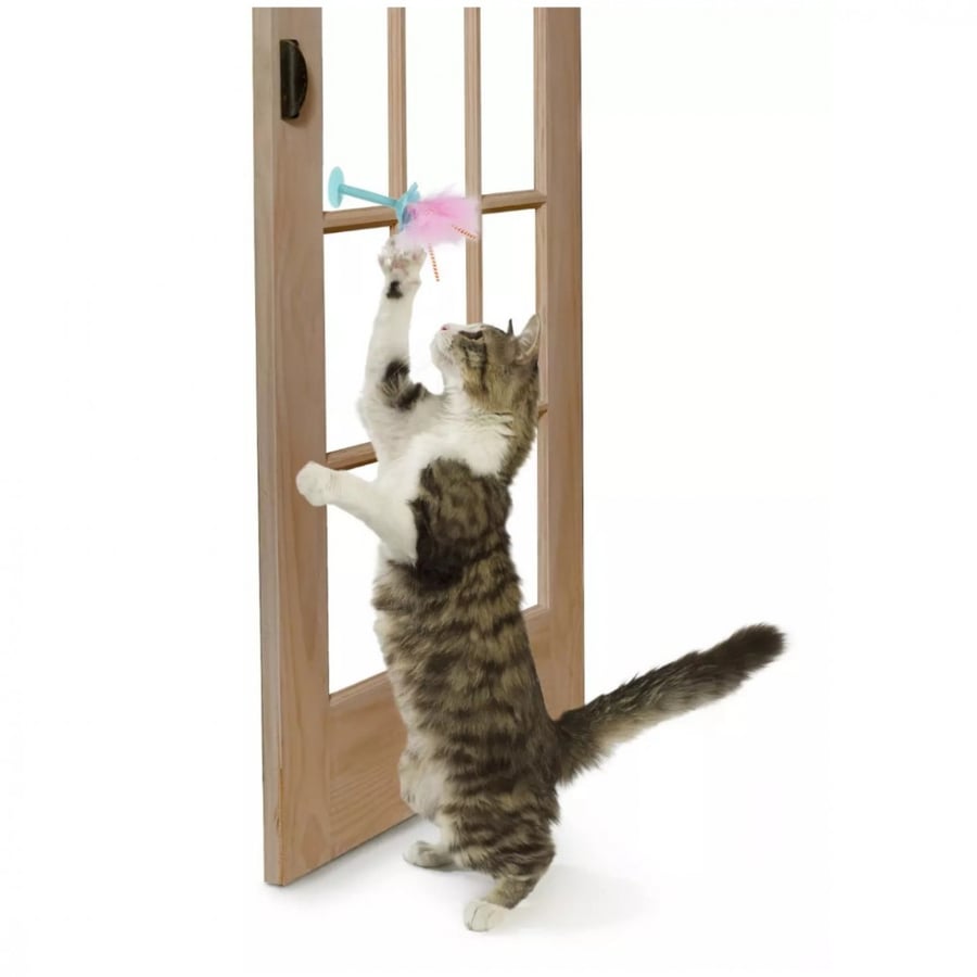 Cat game