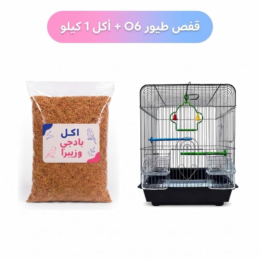 ببغاء بادجي آليف -