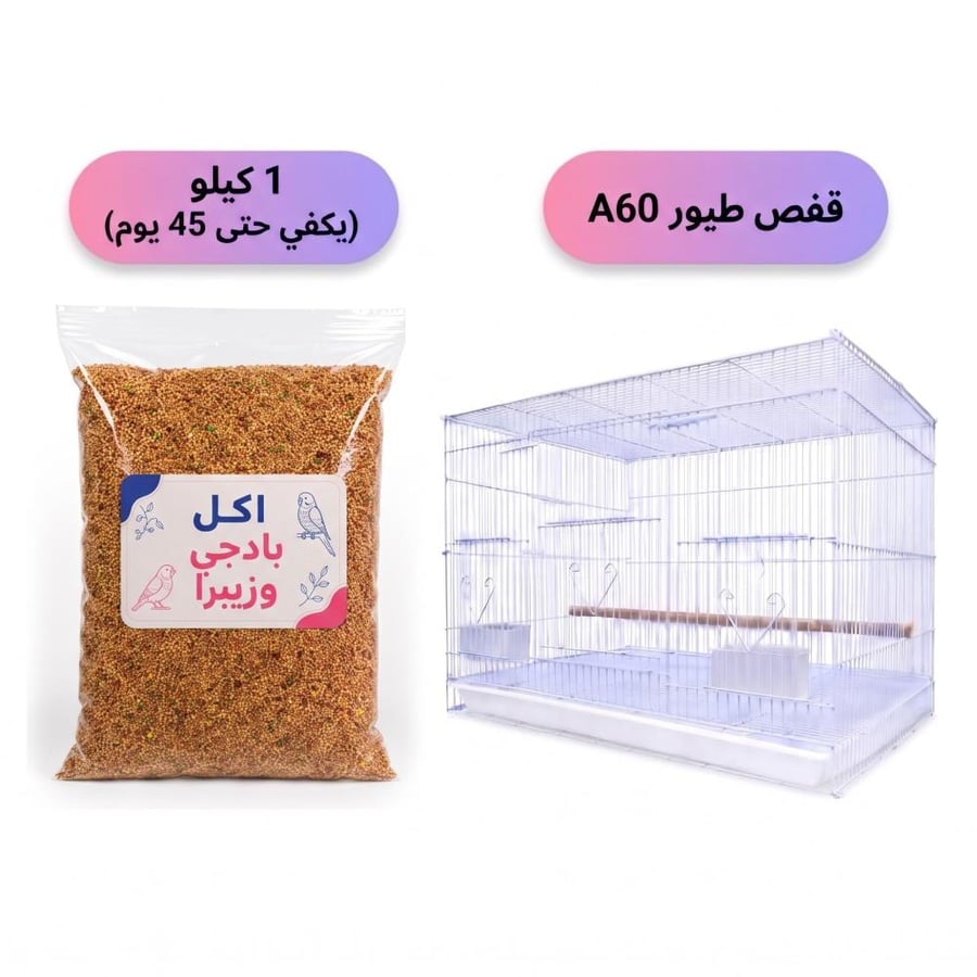 ببغاء بادجي آليف -