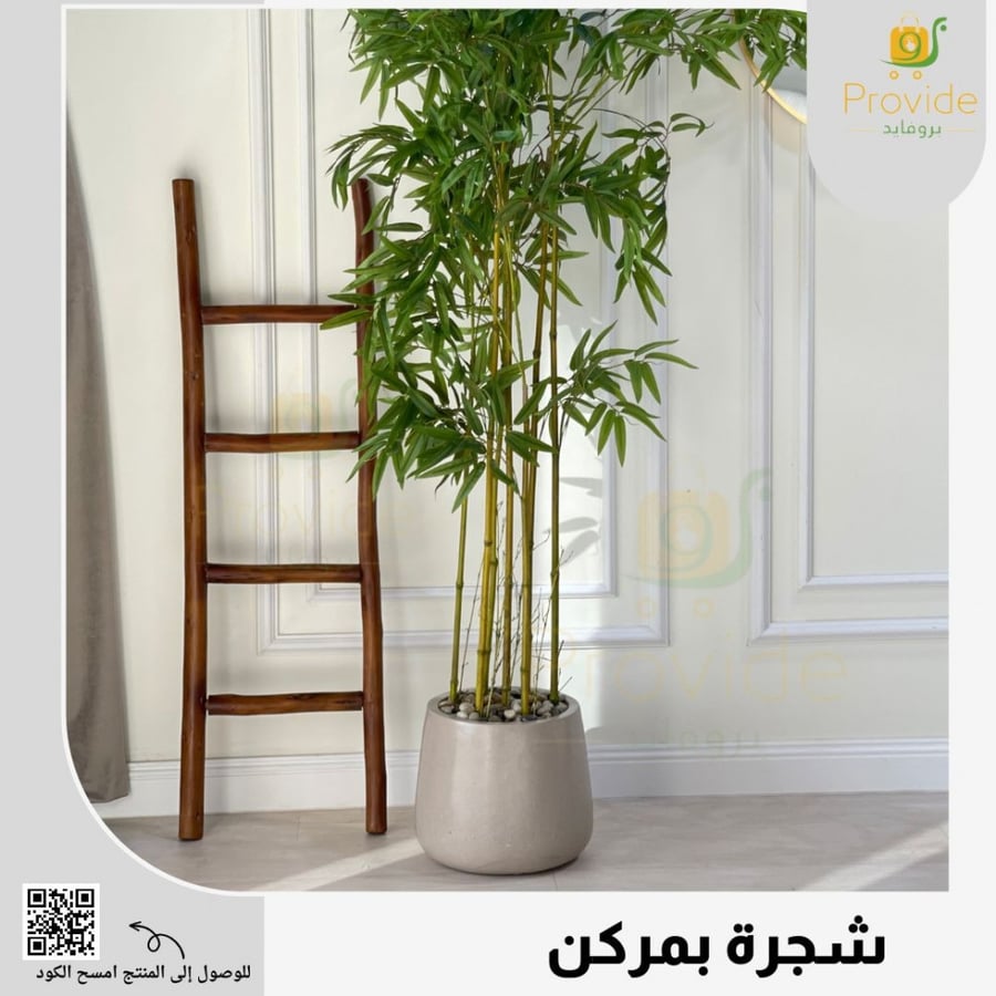 شجر بمركن