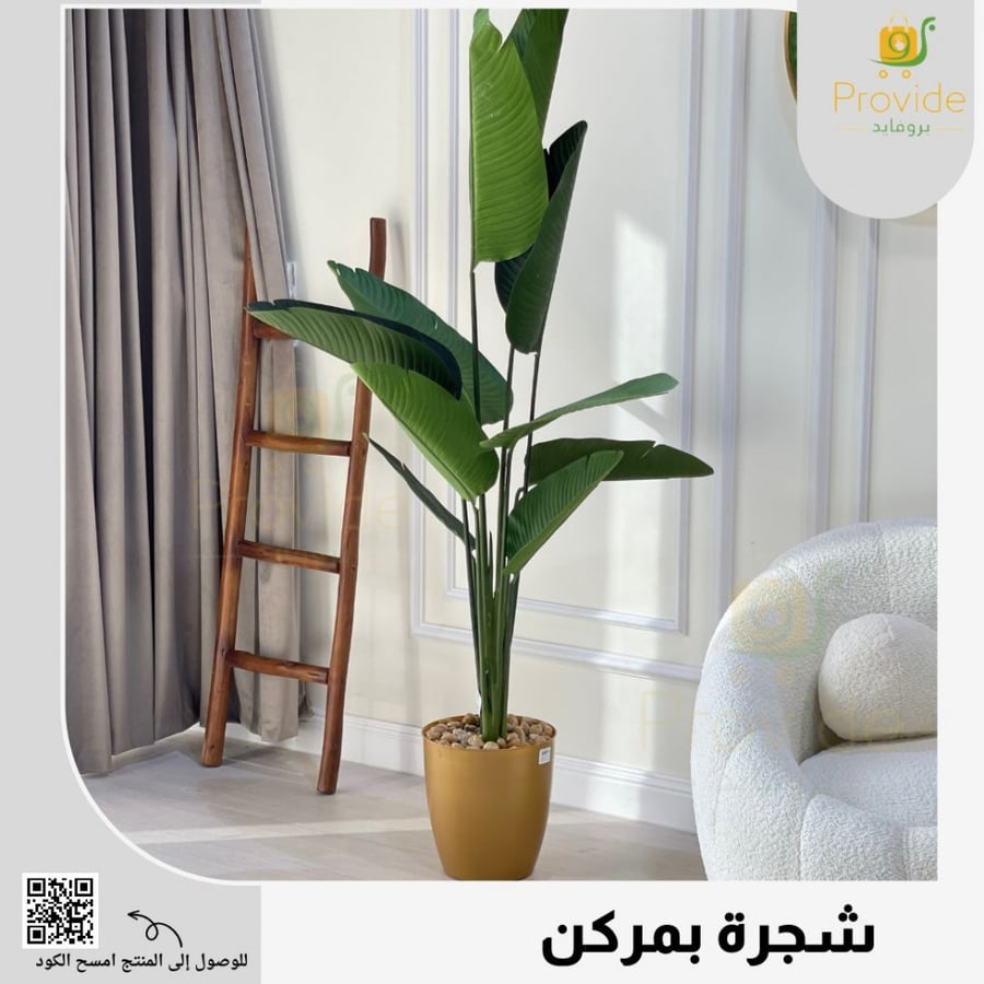 شجر بمركن