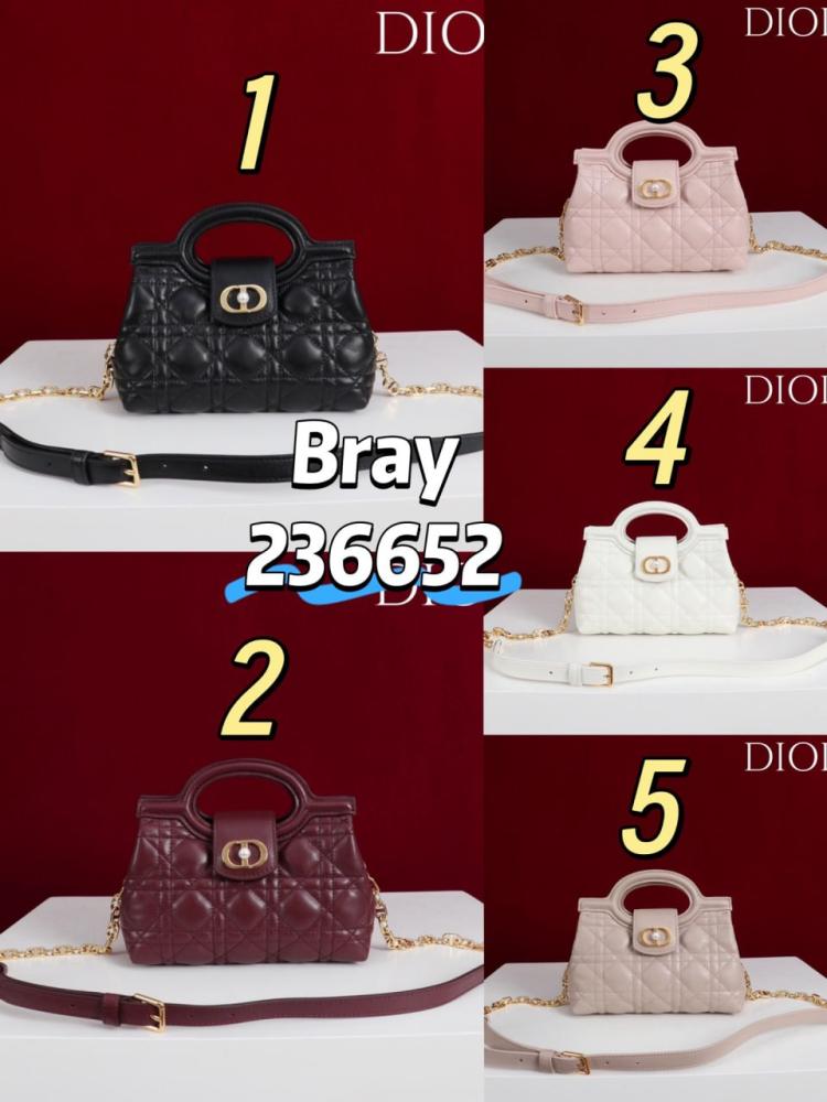 شنط  ديور  ٢٠٢٦  برايانا 236652