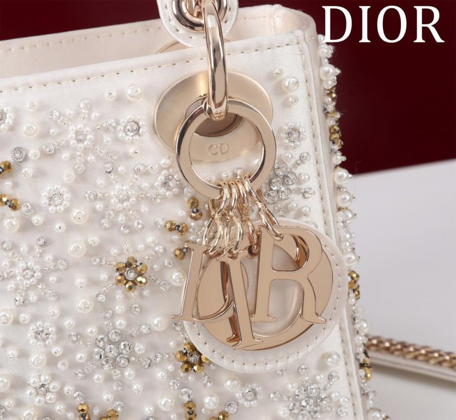 شنط  ديور  برايانا 236816