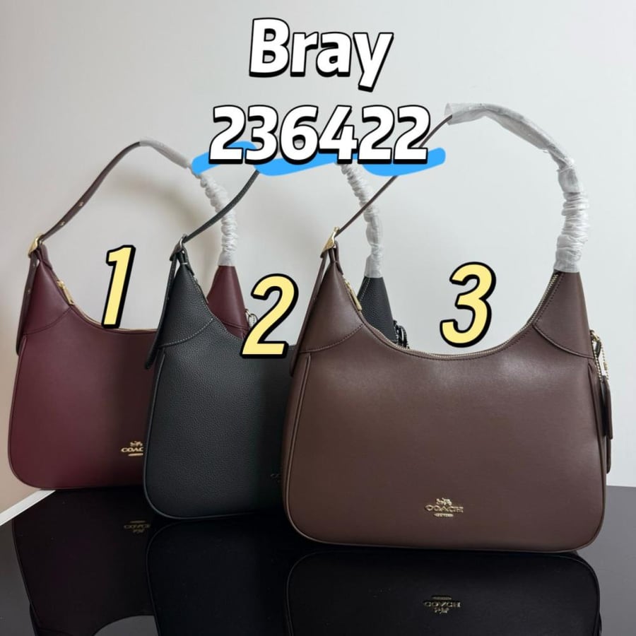 شنط  كوتش ٢٠٢٥ برايانا 236422