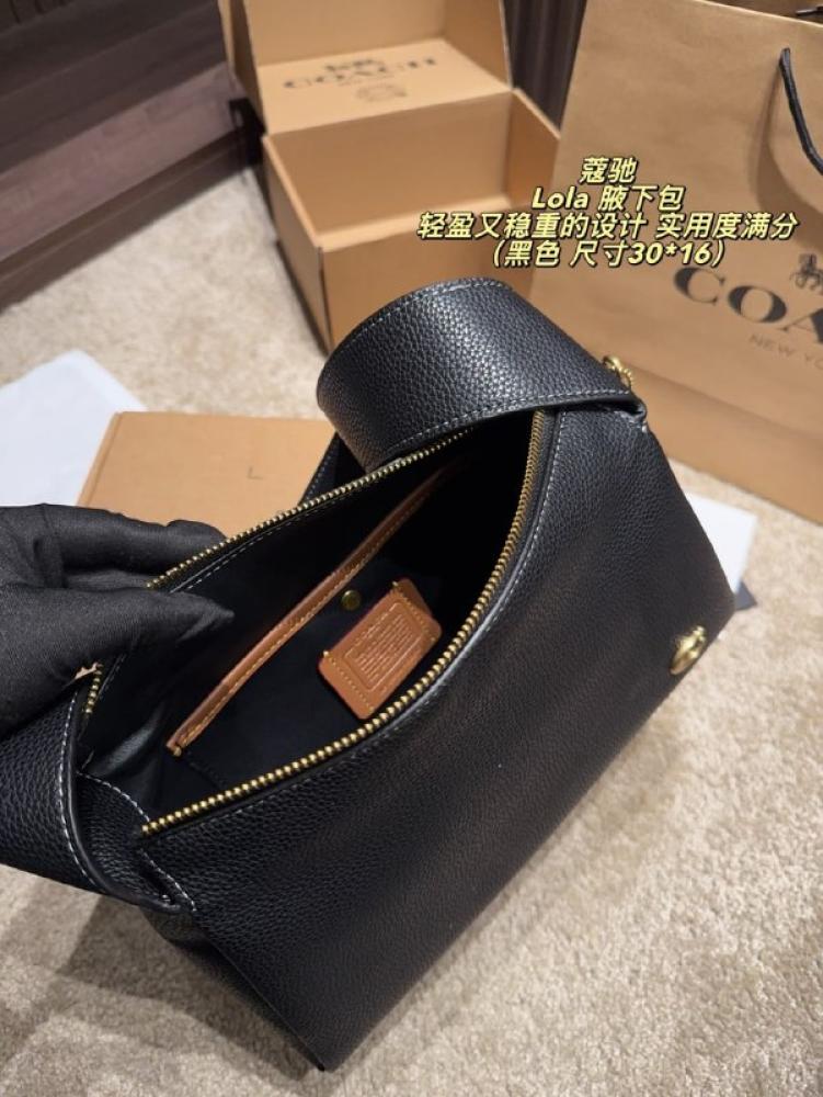 شنط  كوتش برايانا 256270
