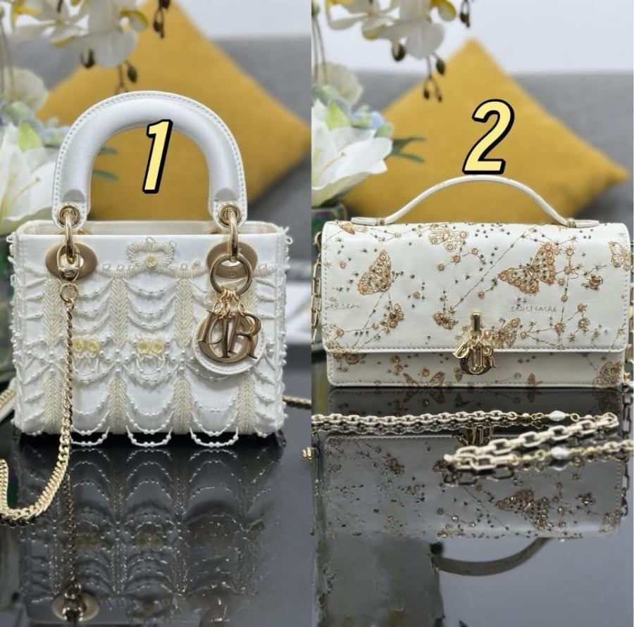 شنط  ديور  برايانا 288486