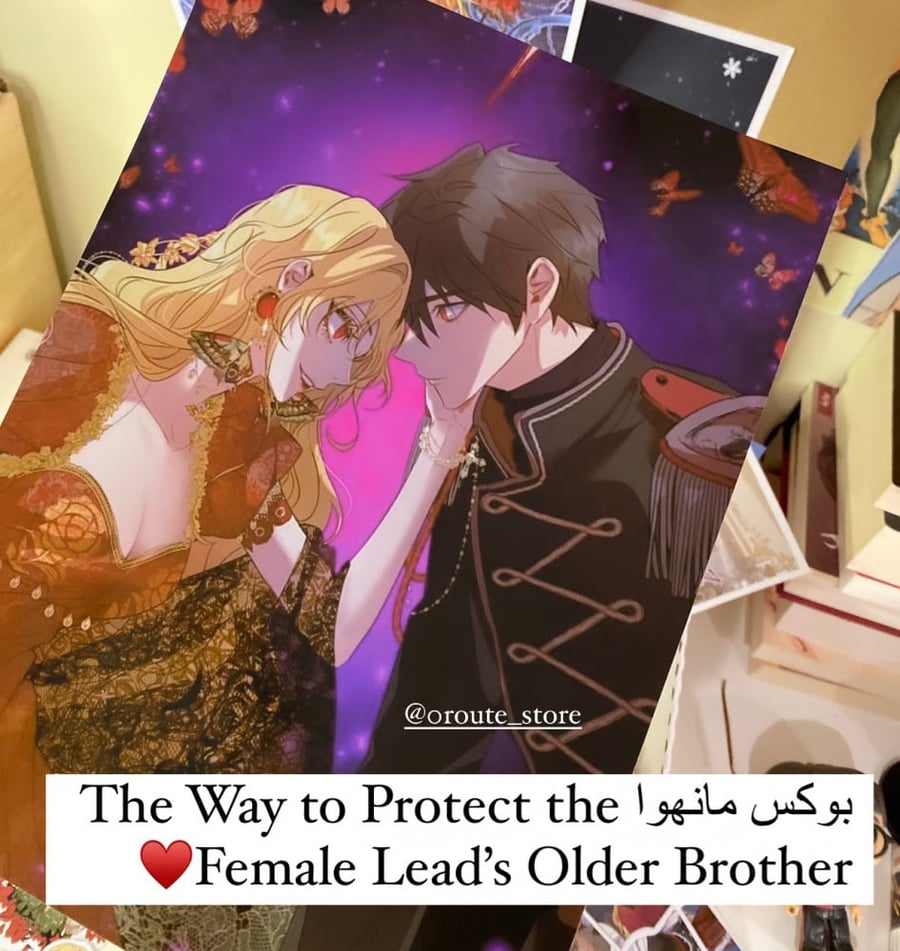 بوكس مانهوا The Way to Protect the Female Lead’s Older Brother