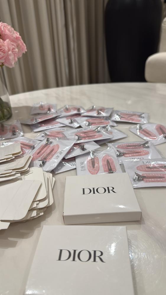 Dior hair clips