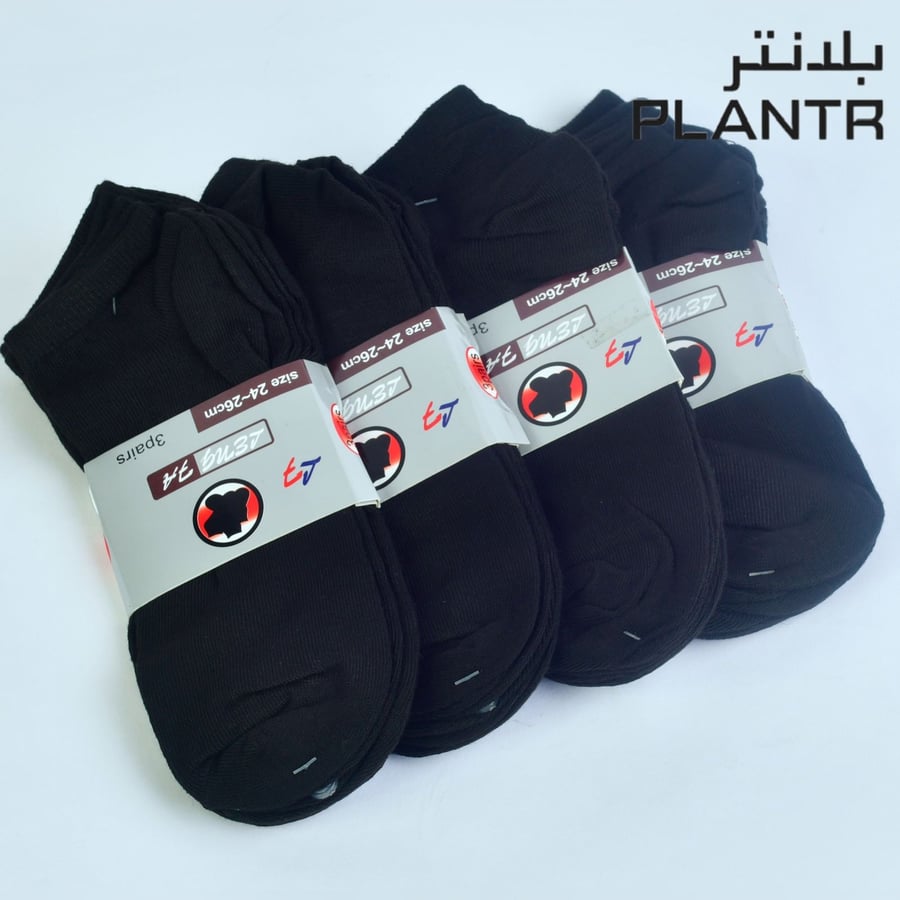 شراب قصير