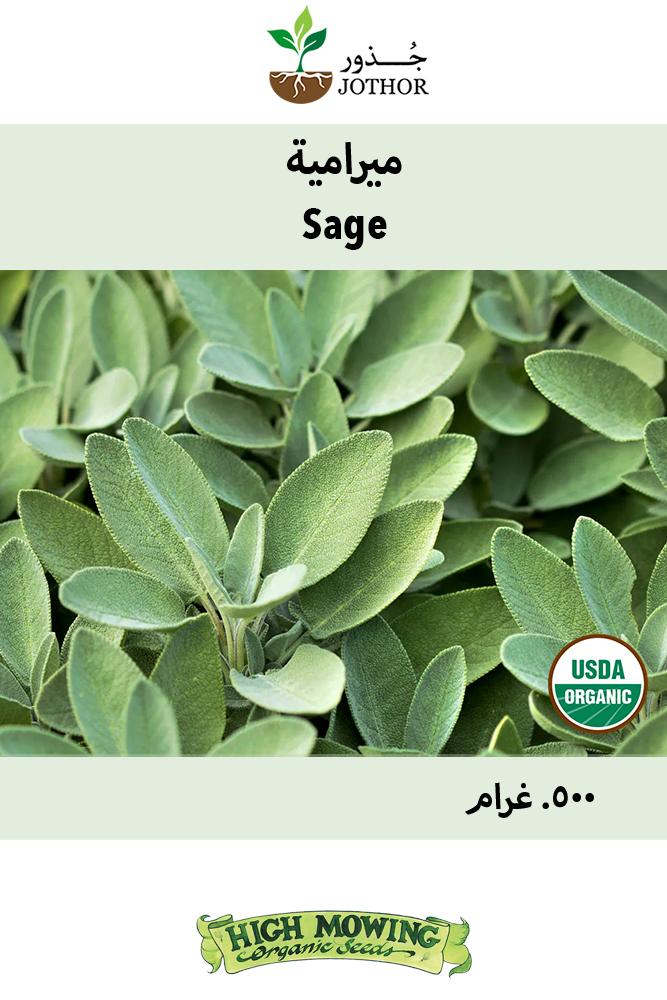 بذور ميرامية عضوي - Sage Seeds
