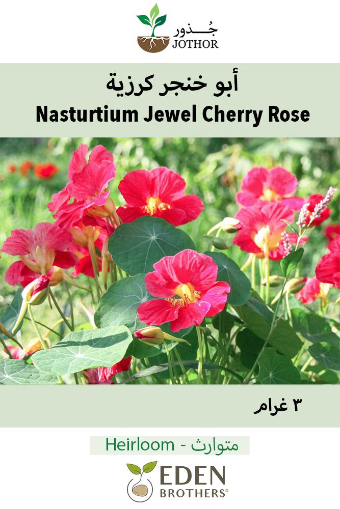 بذور ابو خنجر كرزية - Cherry Rose Nasturtium Seeds