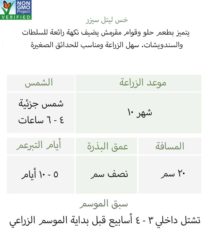 بذور خس ليتل سيزر - Romaine - Little CaesarLettuce Seeds -