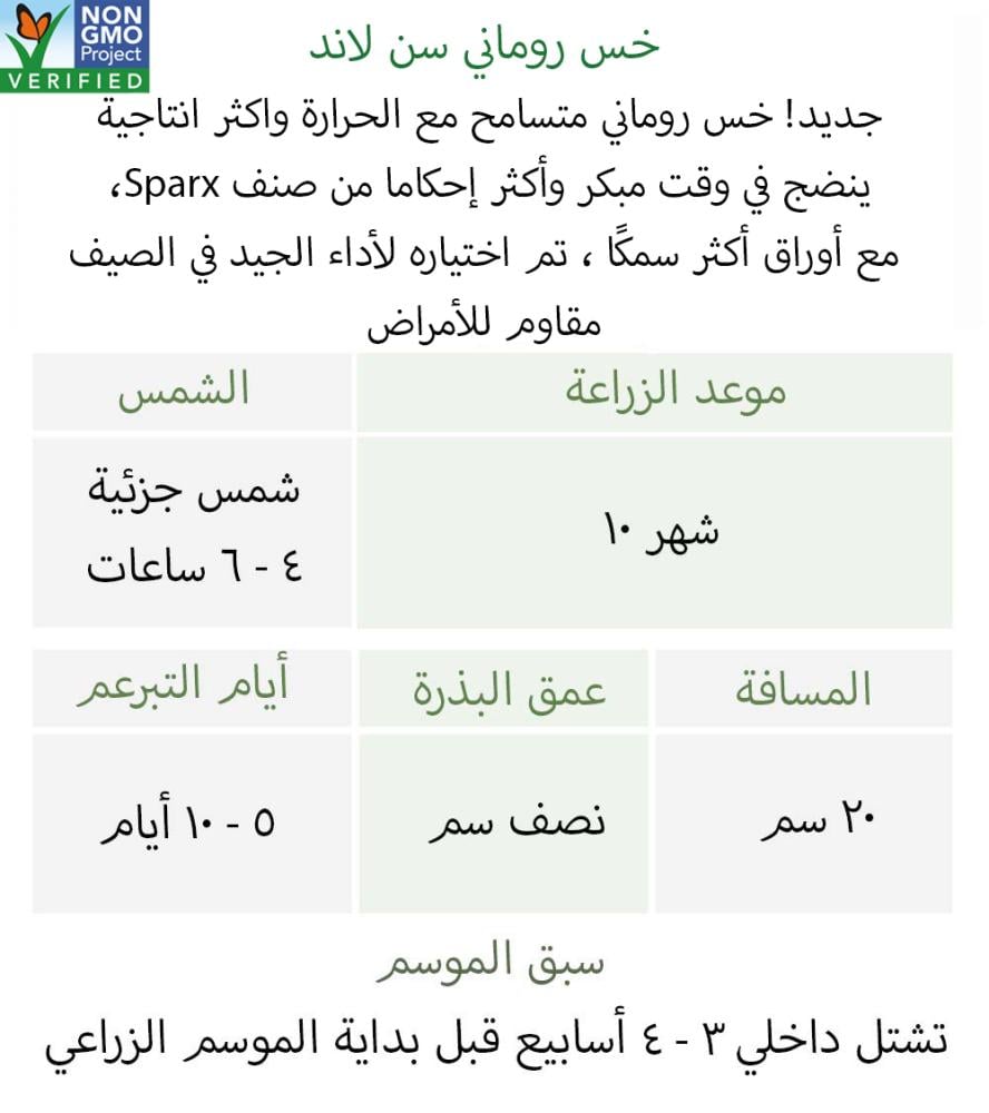 بذور خس سن لاند - Sunland Lettuce Seeds