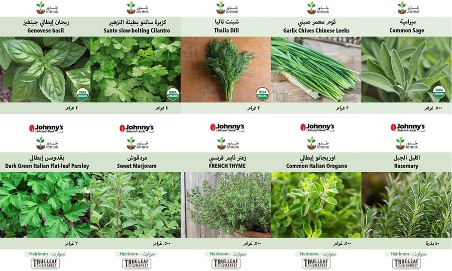 مجموعة بذور أعشاب الحديقة - Garden Herb Kit
