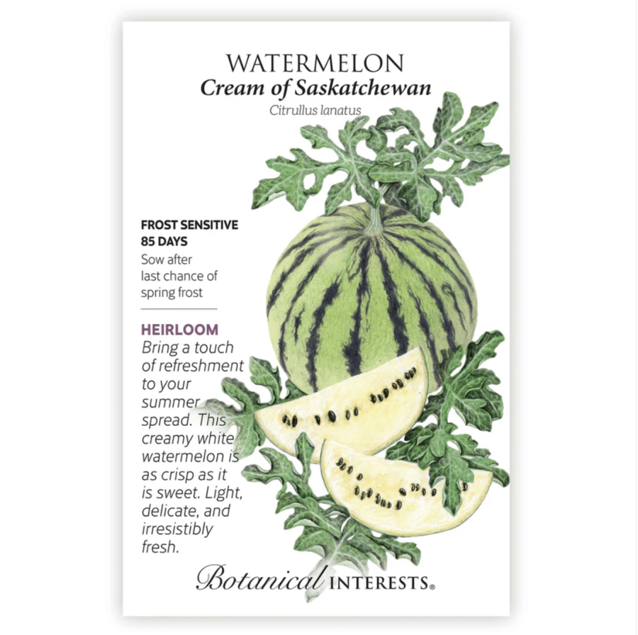 بذور بطيخ كريم أوف ساسكاتشوان - Watermelon Cream of Saskatchewan Seeds